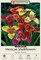 Mexican Shell Flower Mix 15 Bulbs - 9/+ cm - Tigridia Pavonia - Mixed Color!